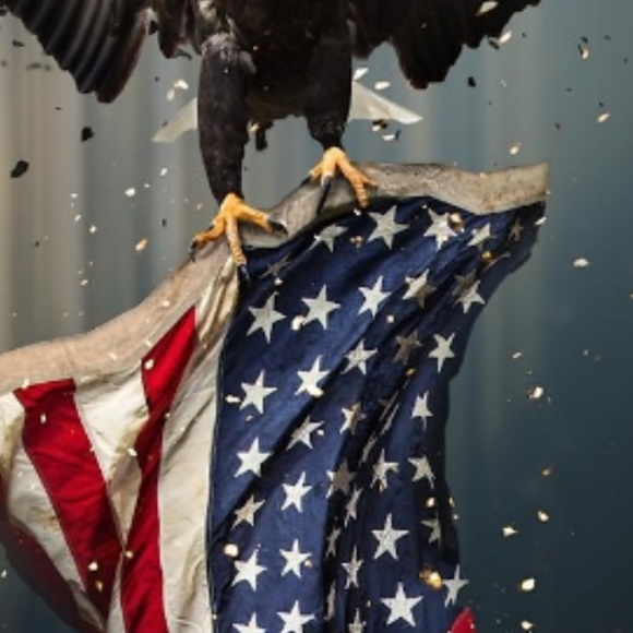 Meet your Posher, Priscilla - Picture 5 of 8